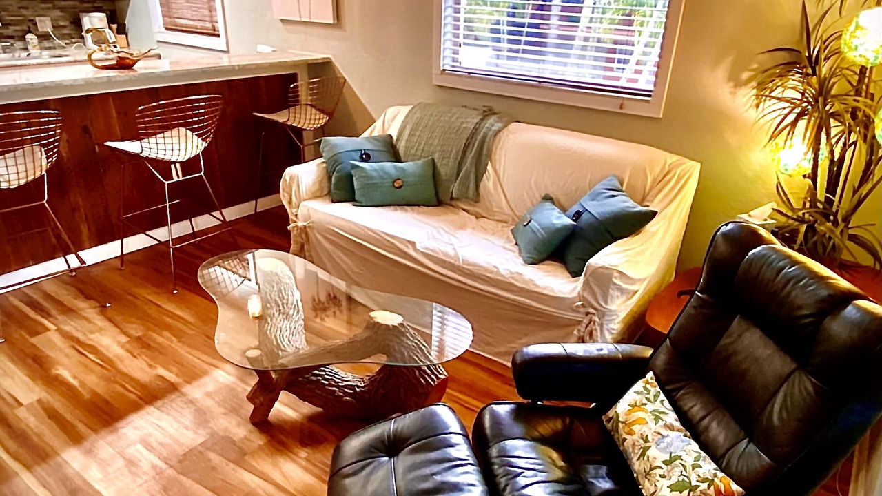 Photo of Livingroom in St. Pete Beach
