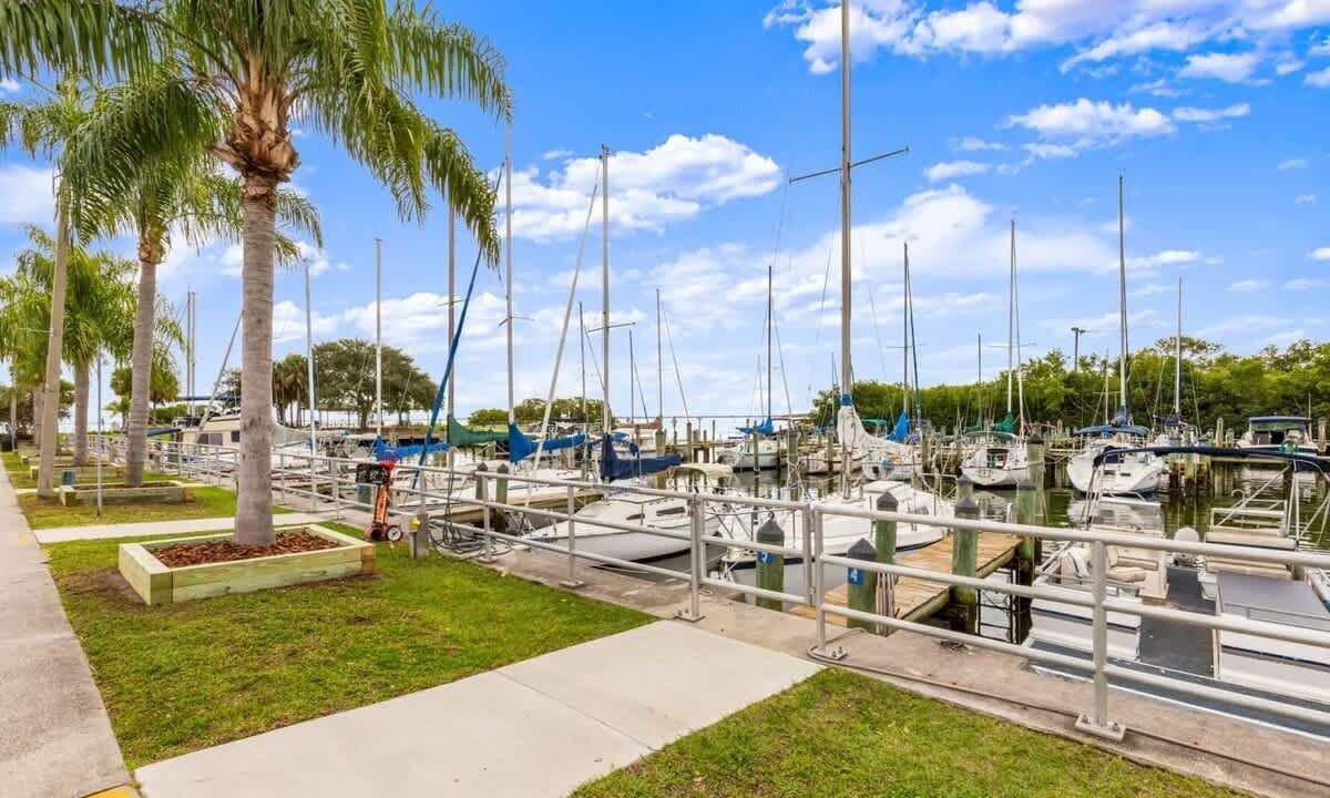 Photo of Others in Safety Harbor