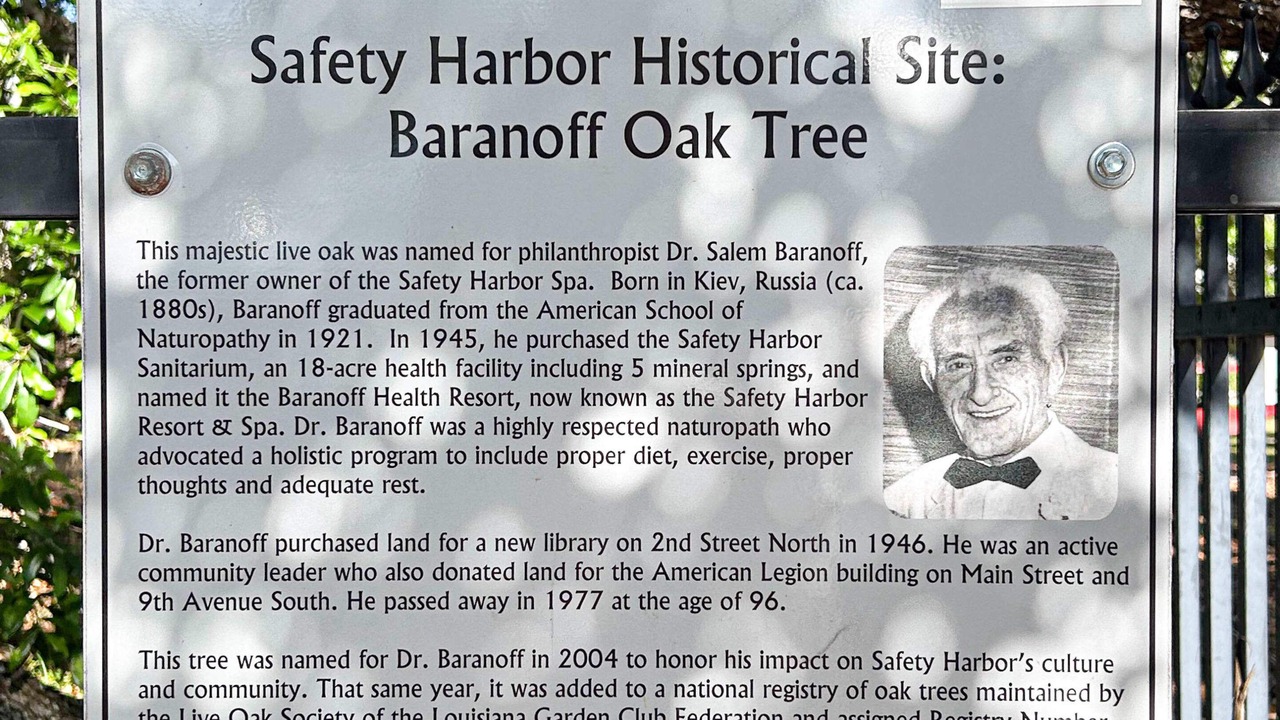 Photo of Others in Safety Harbor