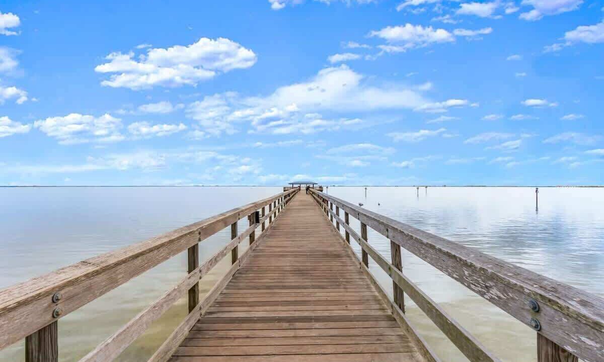 Photo of Others in Safety Harbor