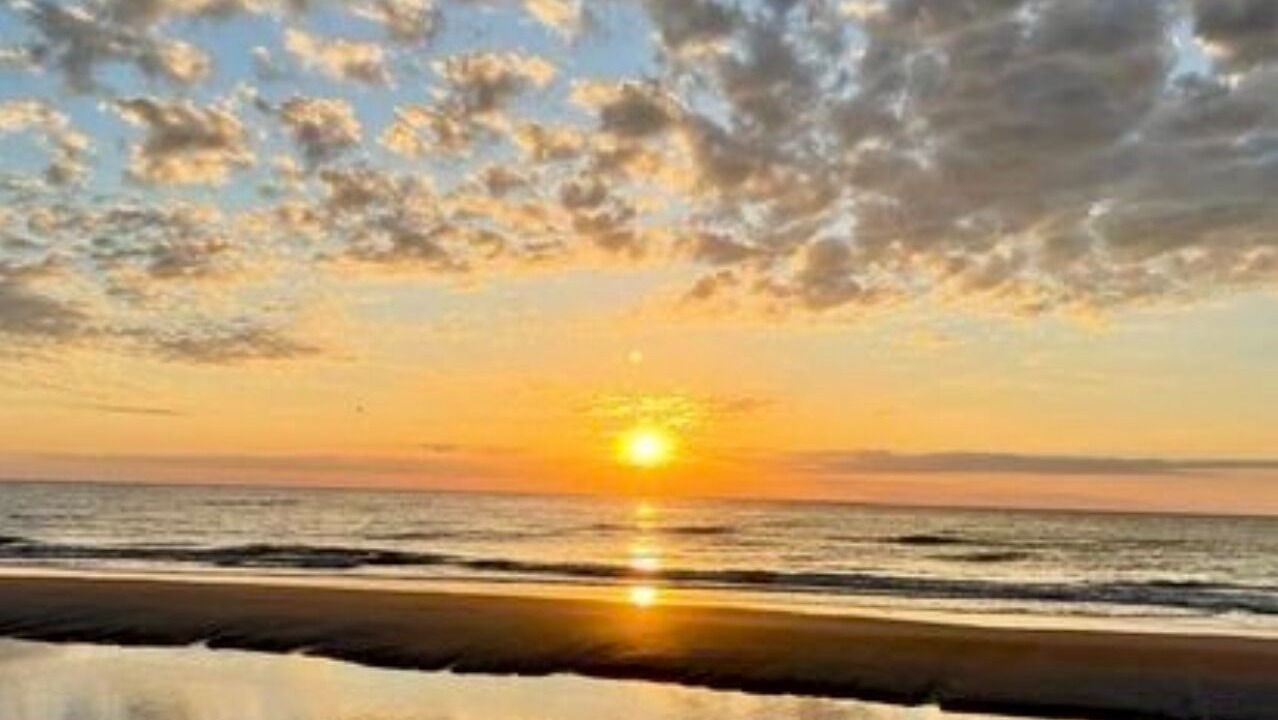 Photo of Others in St. Augustine Beach