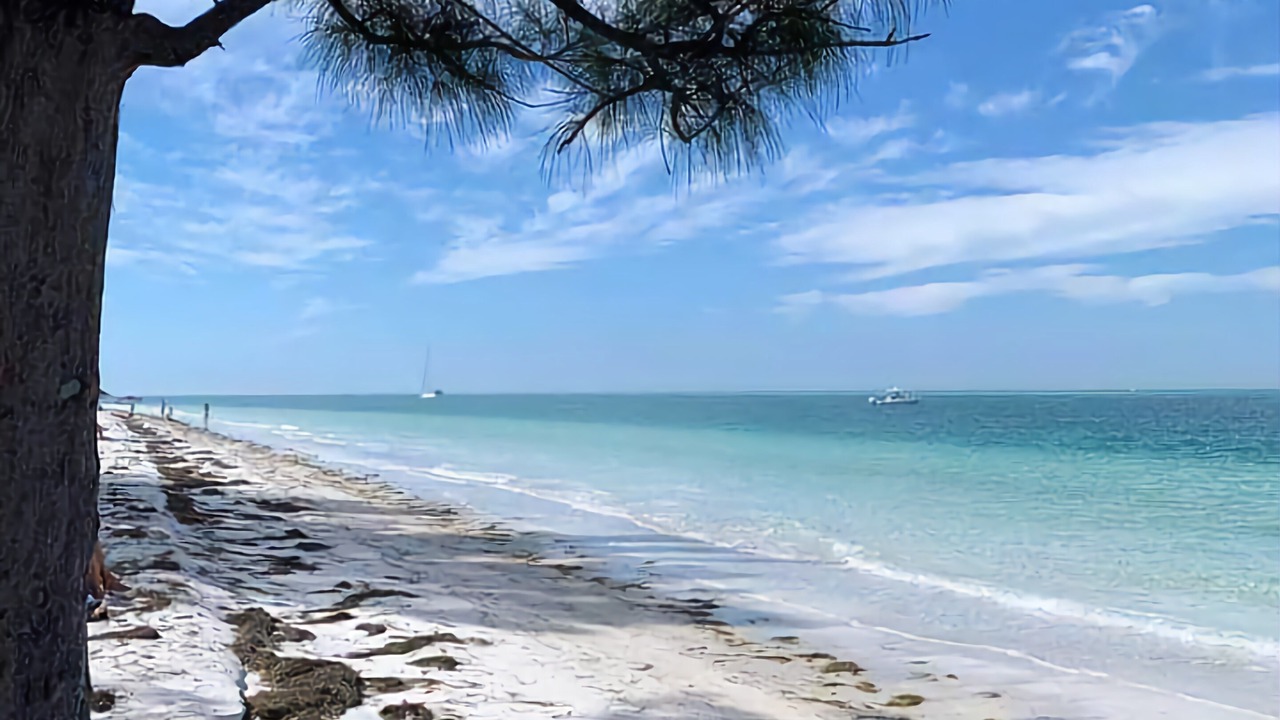 Photo of Others in South Bradenton
