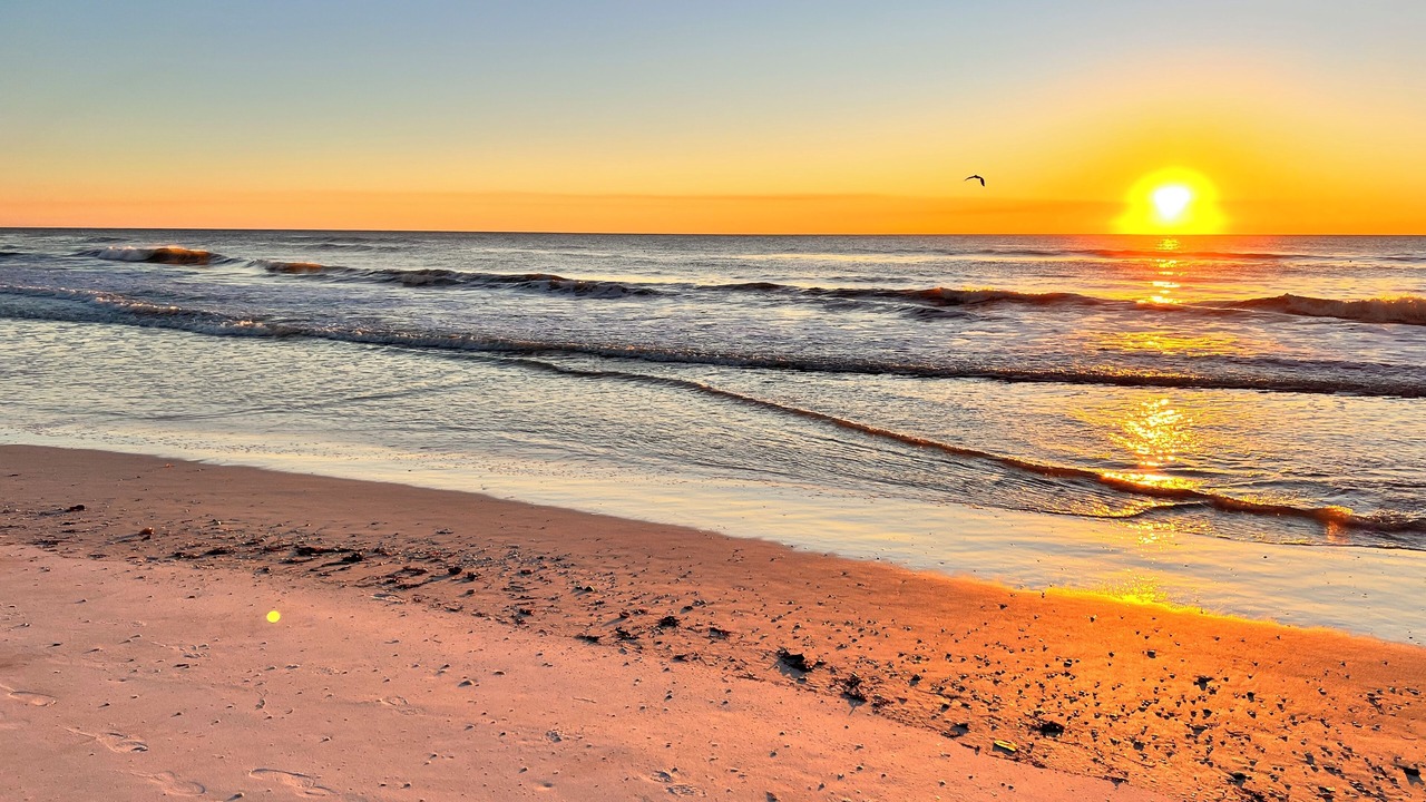 Photo of Others in Bradenton Beach