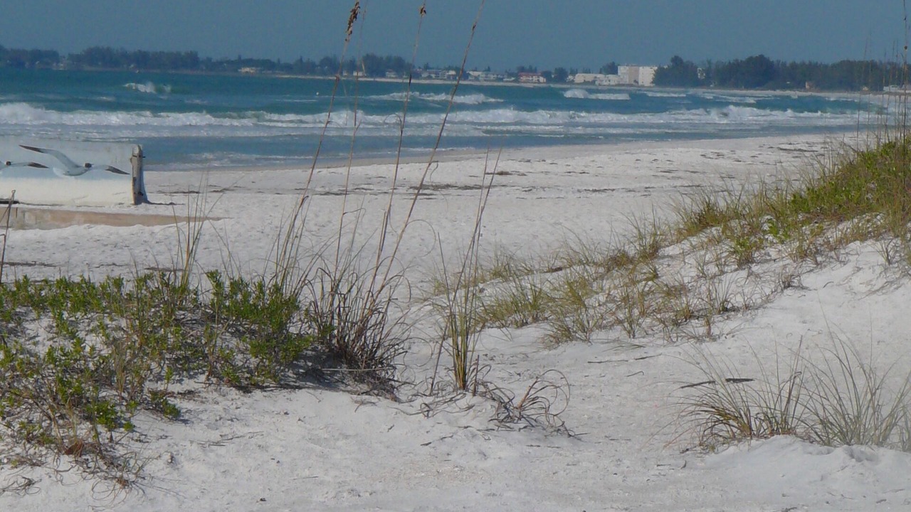 Photo of Others in Bradenton Beach