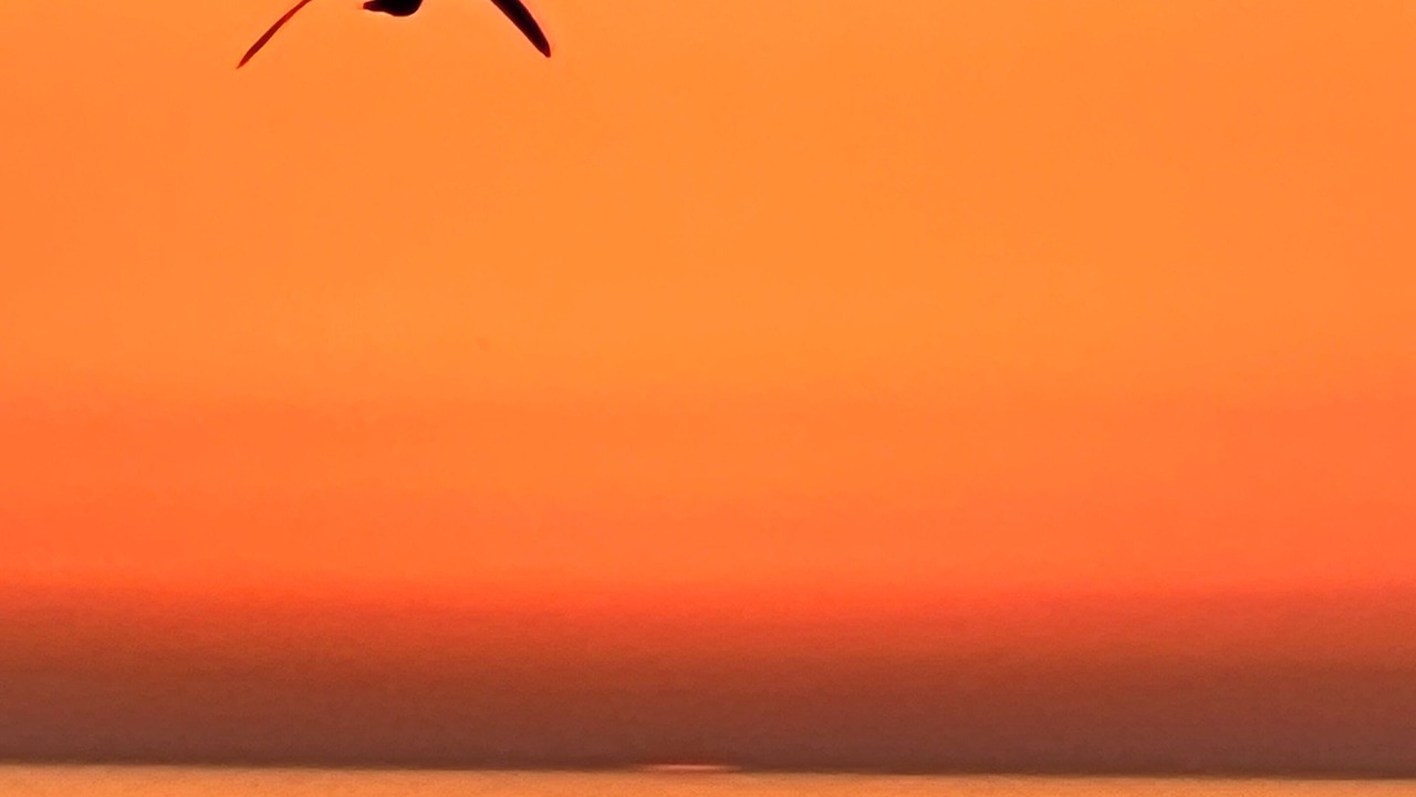 Photo of Others in Bradenton Beach