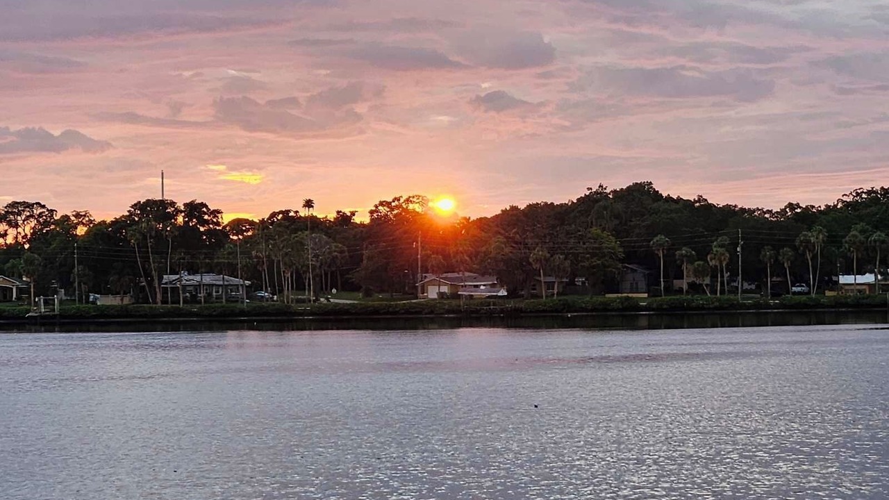 Photo of Outdoor in Palm Harbor