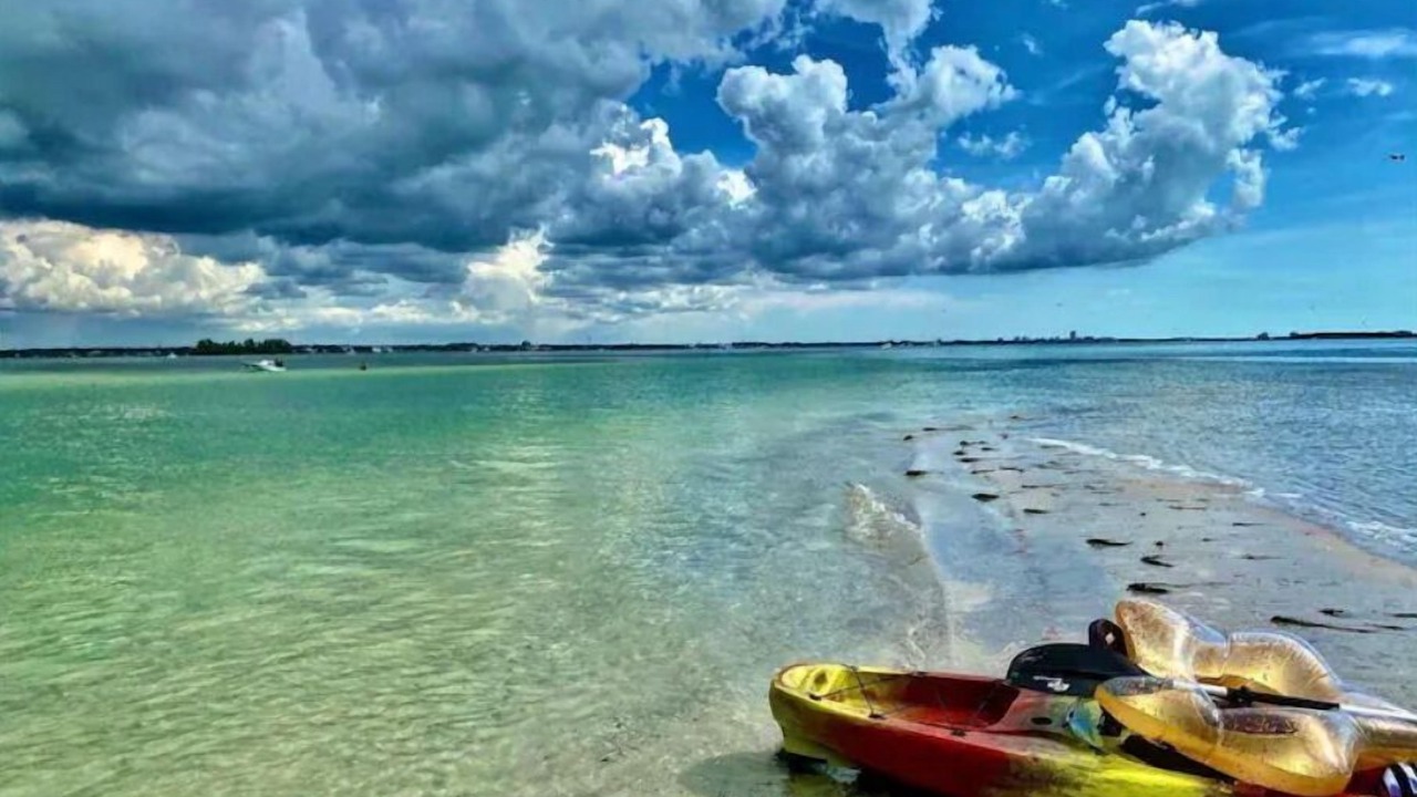 Photo of Others in Palm Harbor