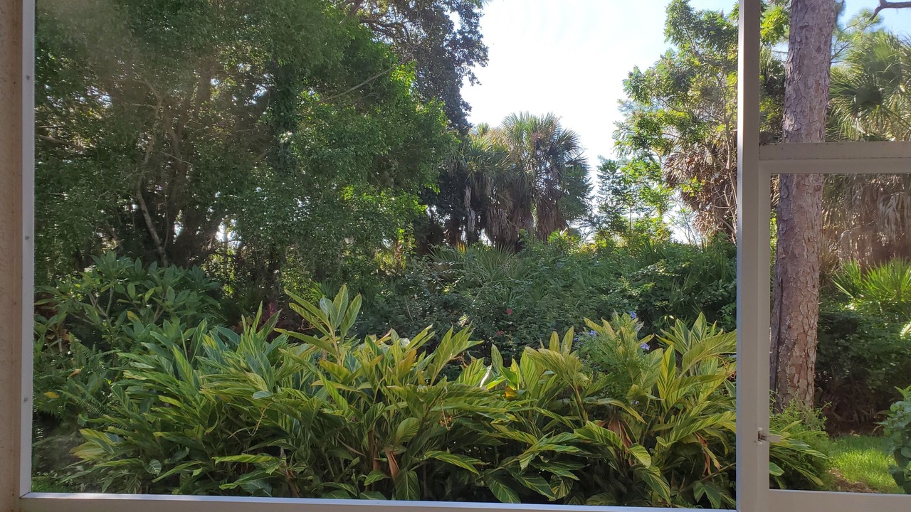 Photo of Outdoor in Palmer Ranch