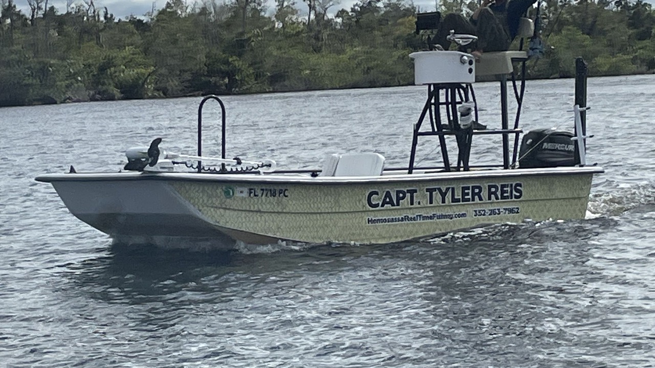 Photo of Others in Homosassa