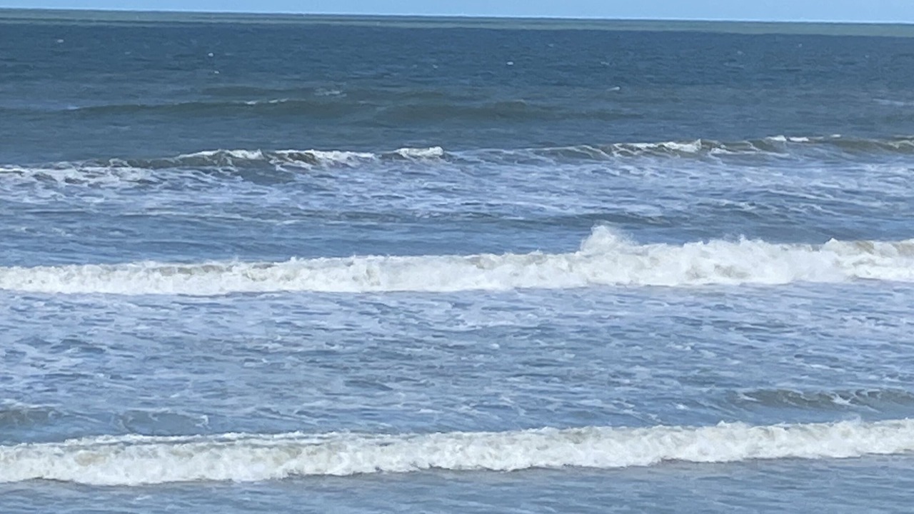 Photo of Others in Ponce Inlet