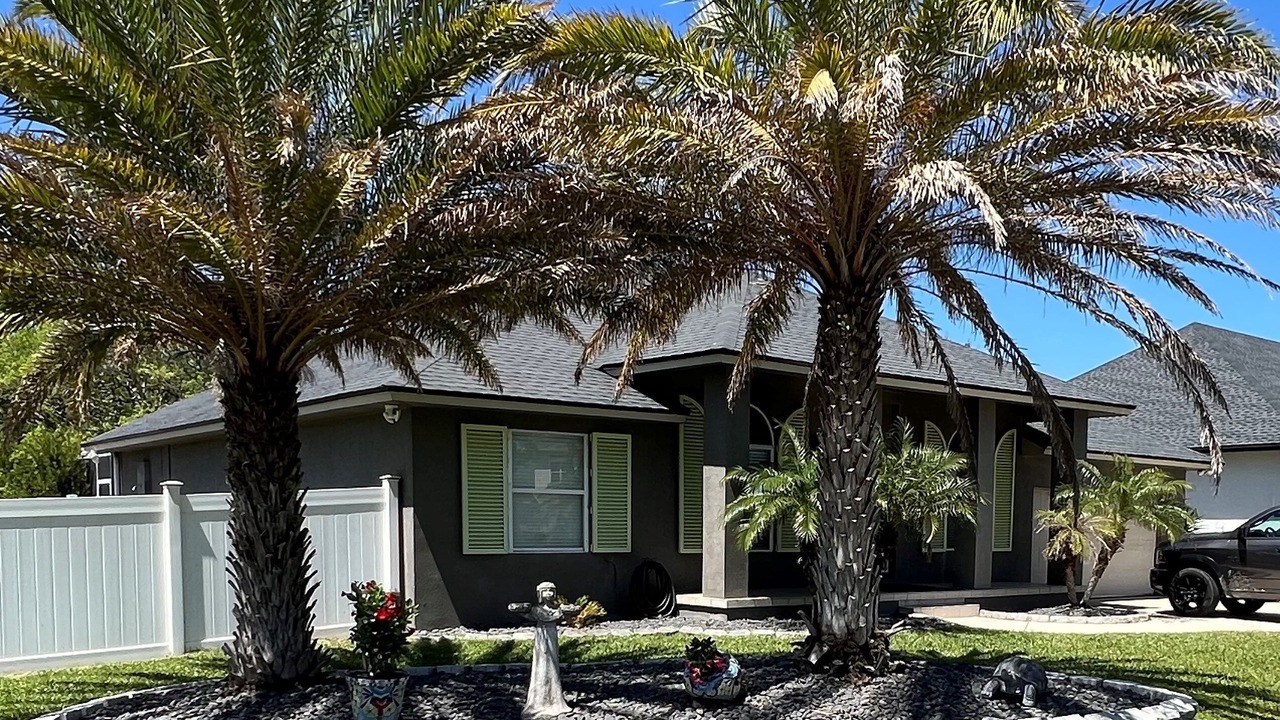 Photo of Outdoor in Vilano Beach
