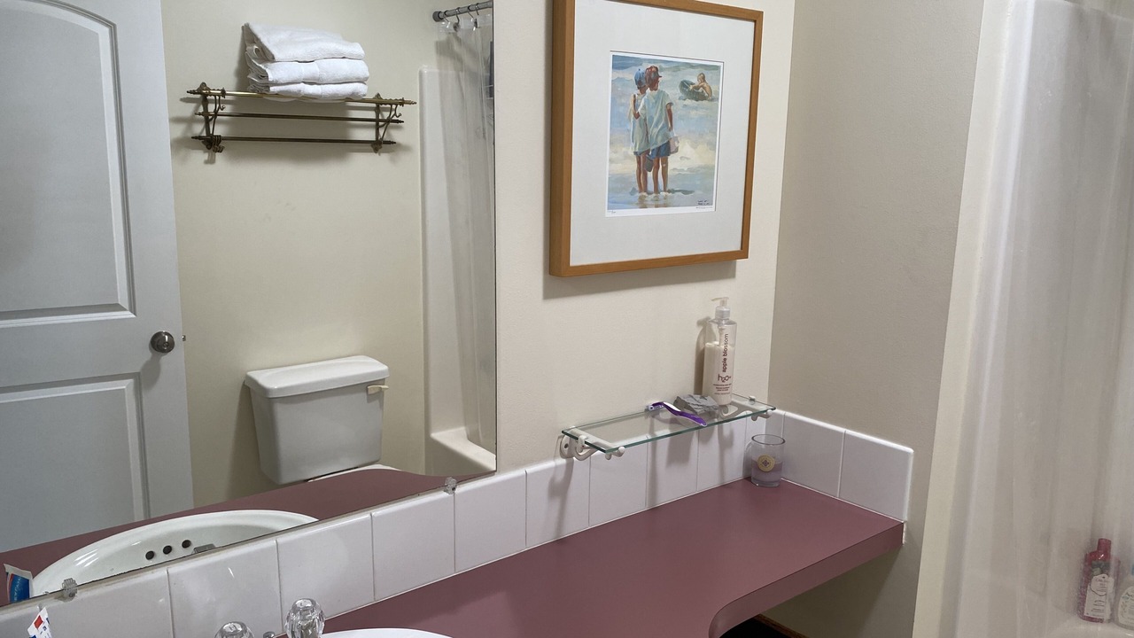 Photo of Bathroom in Palmetto