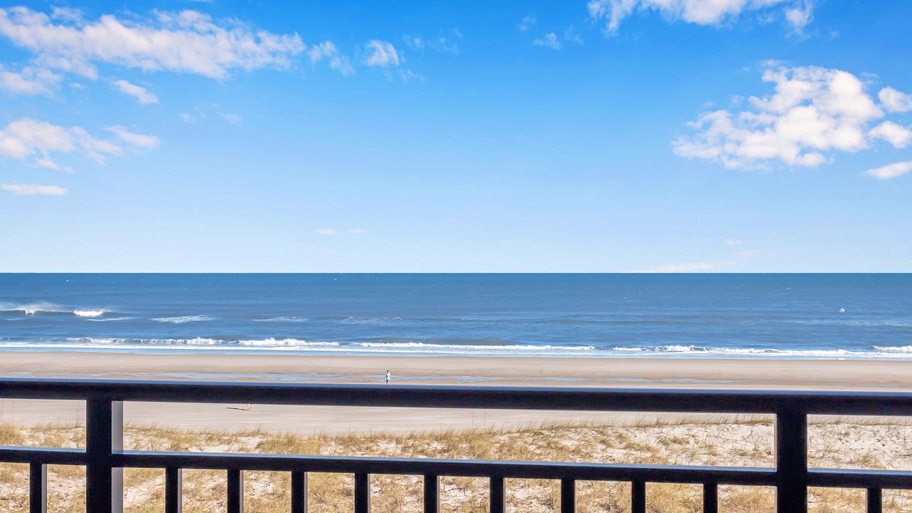 Photo of Others in Jacksonville Beach