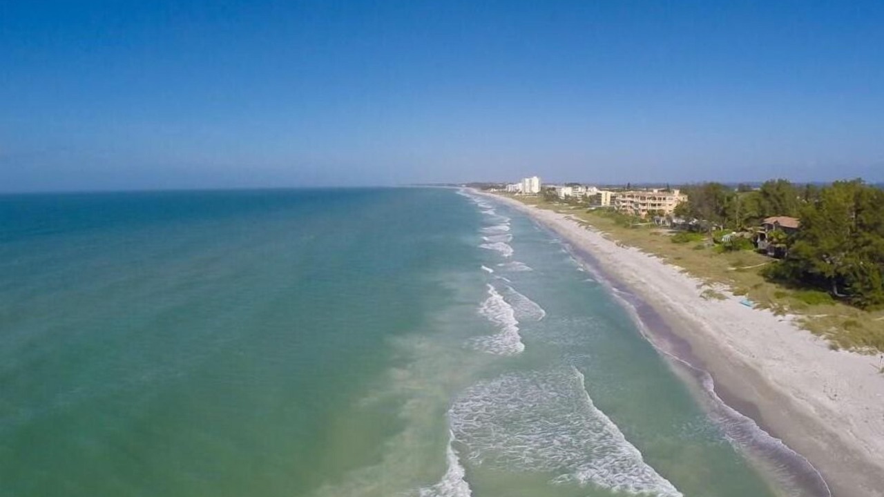 Photo of Others in Longboat Key