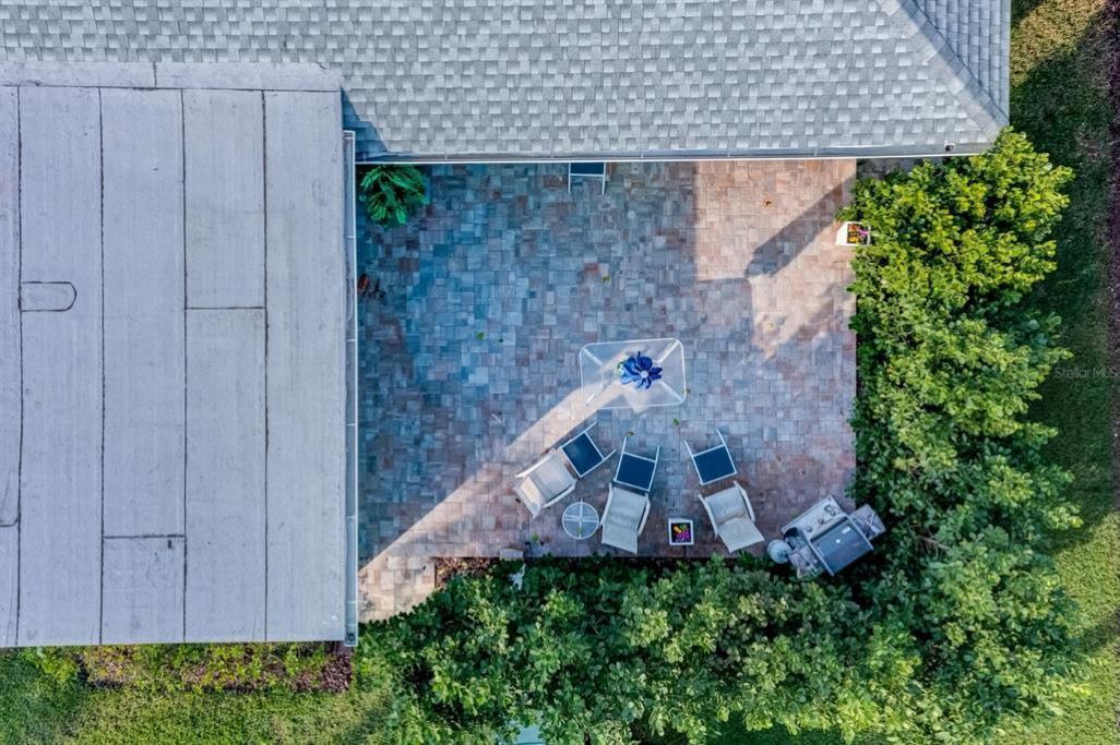 Photo of Outdoor in Belleair Beach