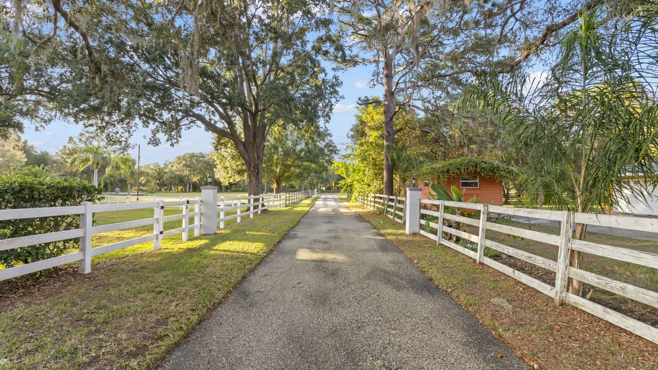 Photo of Outdoor in Port Richey