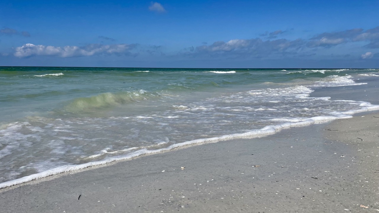 Photo of Others in Indian Shores
