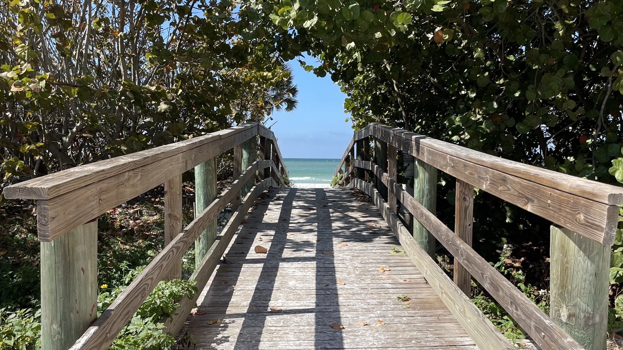 Photo of Others in Indian Shores