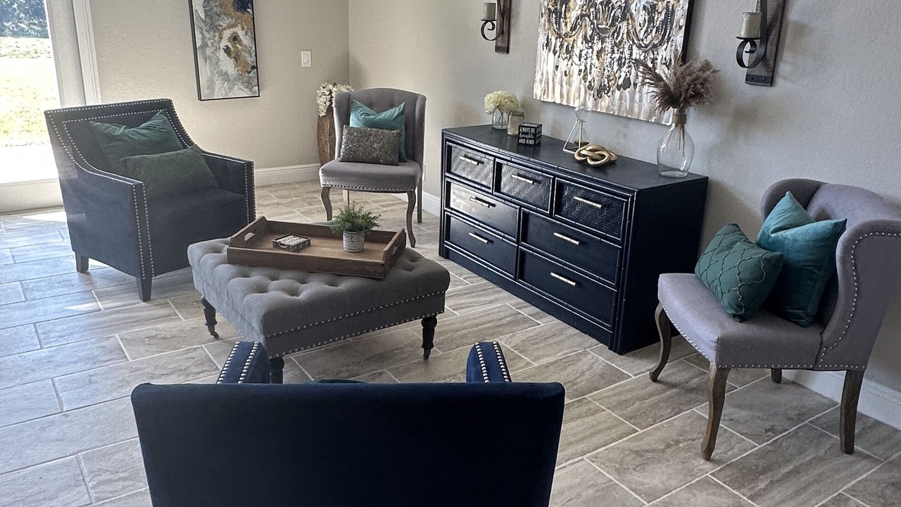 Photo of Livingroom in Lutz