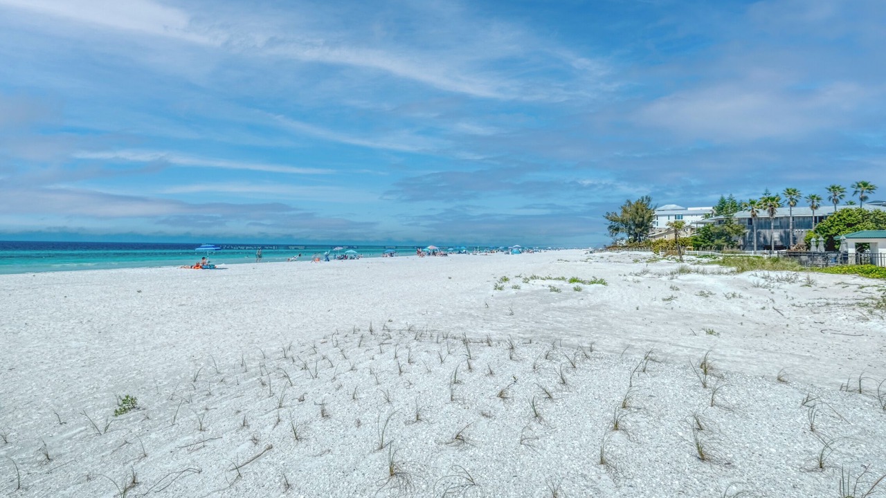 Photo of Others in Indian Shores