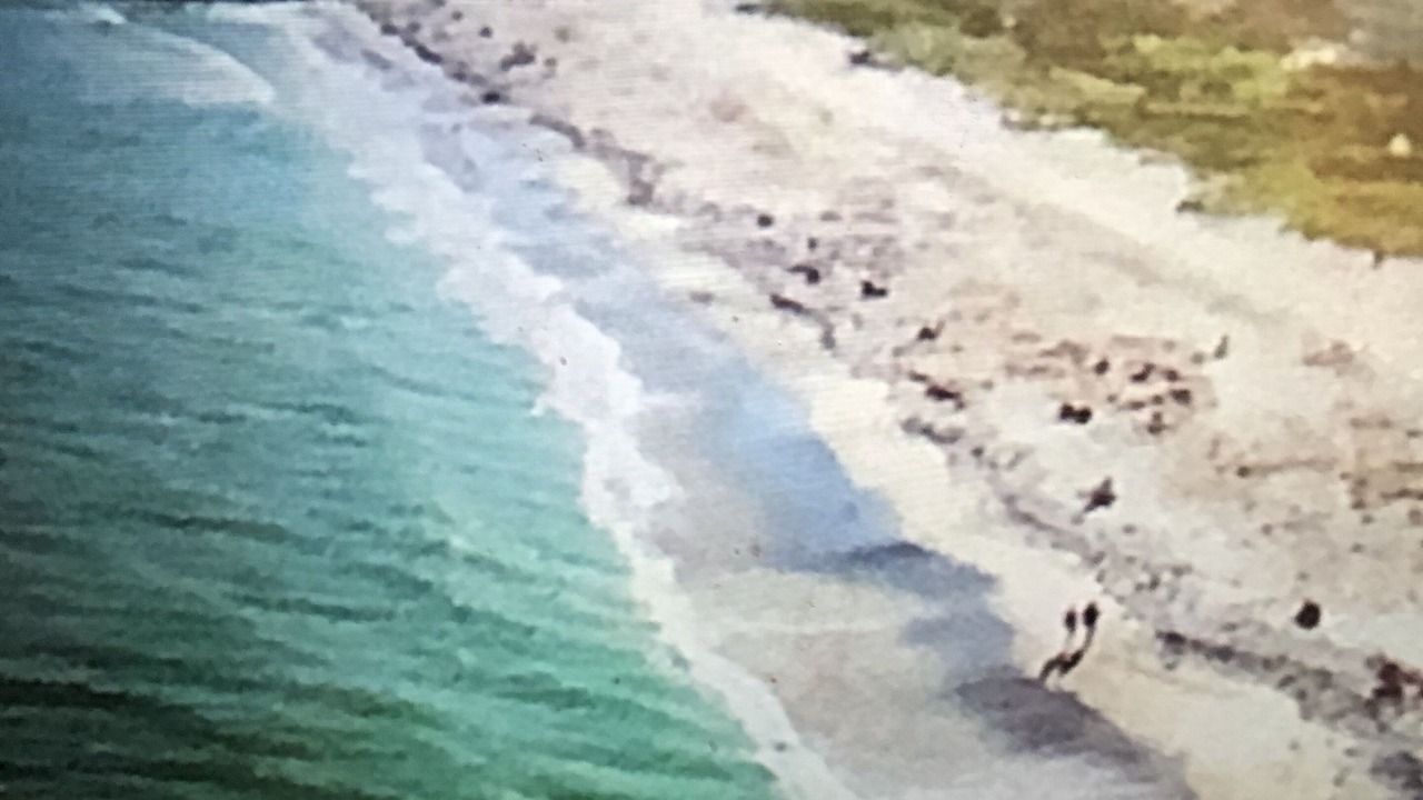 Photo of Others in Avon By The Sea