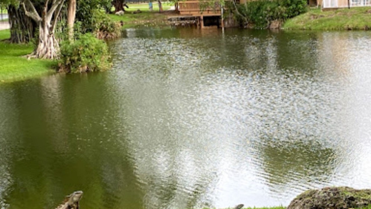 Photo of Outdoor in Survey Creek