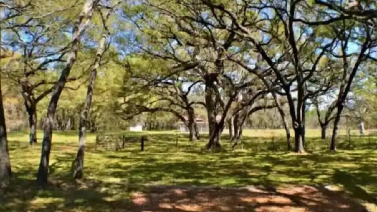 Photo of Outdoor in Brooksville