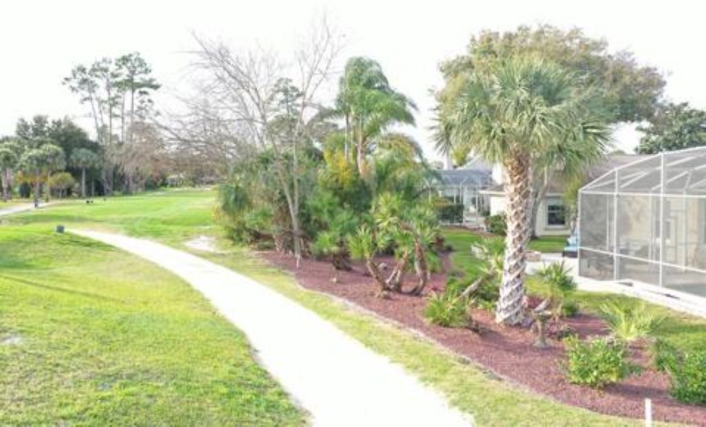 Photo of Others in New Smyrna Beach