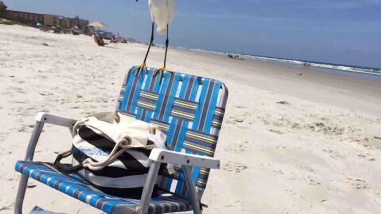 Photo of Others in New Smyrna Beach