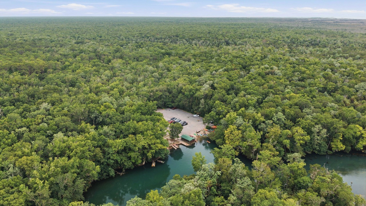 Photo of Outdoor in Chassahowitzka