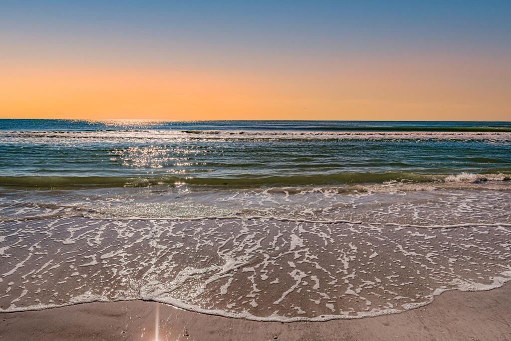 Photo of Others in Siesta Key
