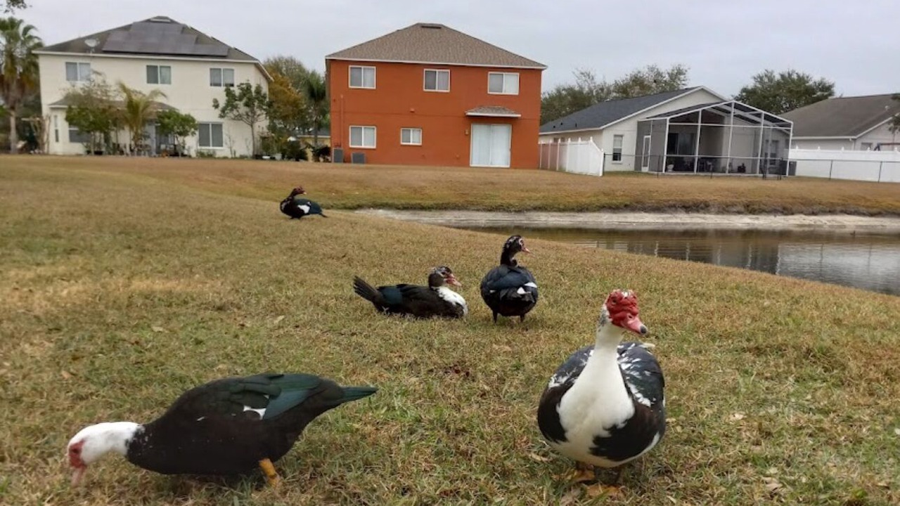 Photo of Outdoor in Riverview