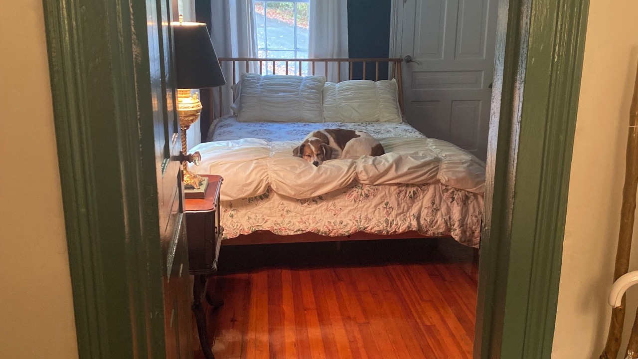 Photo of Bedroom in Clifton