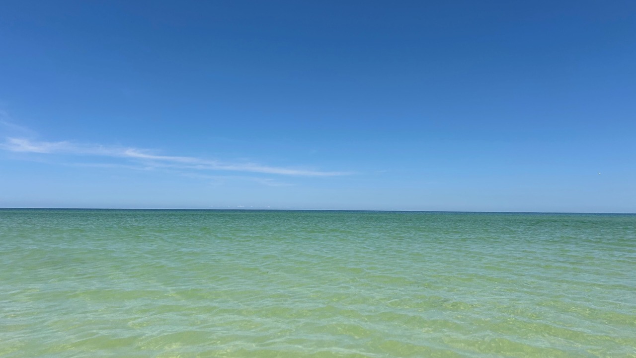 Photo of Others in Crystal Beach