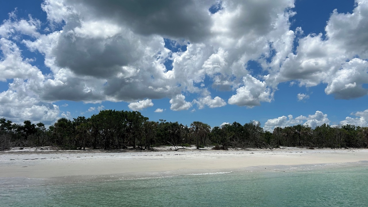Photo of Others in Crystal Beach