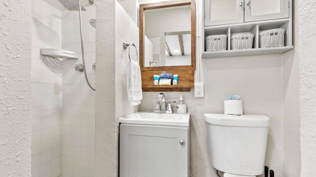 Photo of Bathroom in St. Pete Beach