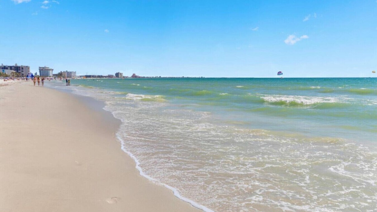 Photo of Others in St. Pete Beach