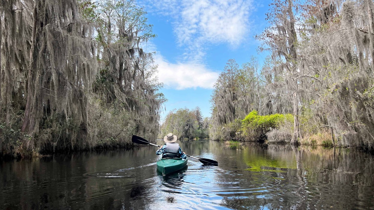 Photo of Others in Homosassa