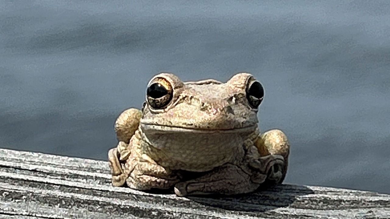 Photo of Others in East Palatka