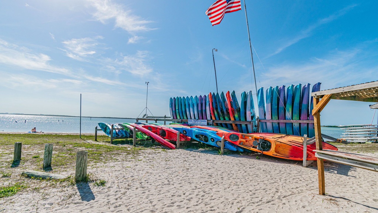 Photo of Others in Palm Harbor