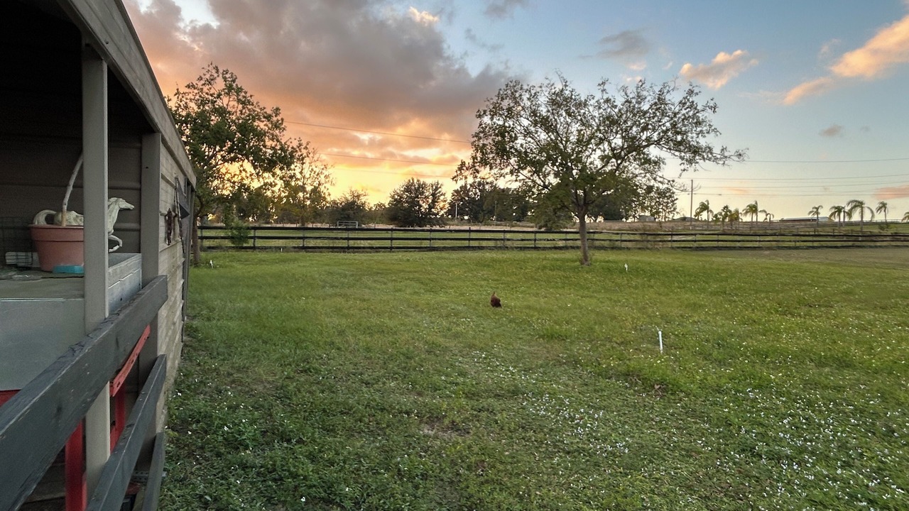 Photo of Outdoor in Clermont