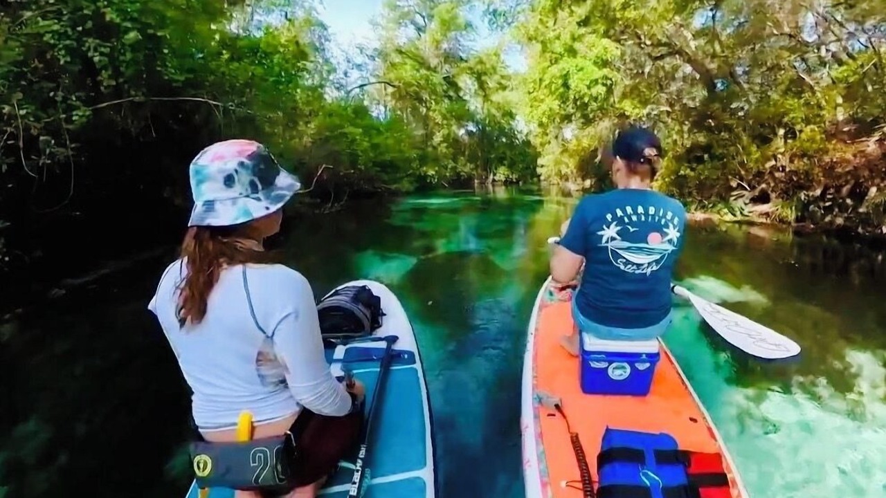 Photo of Others in Weeki Wachee Gardens