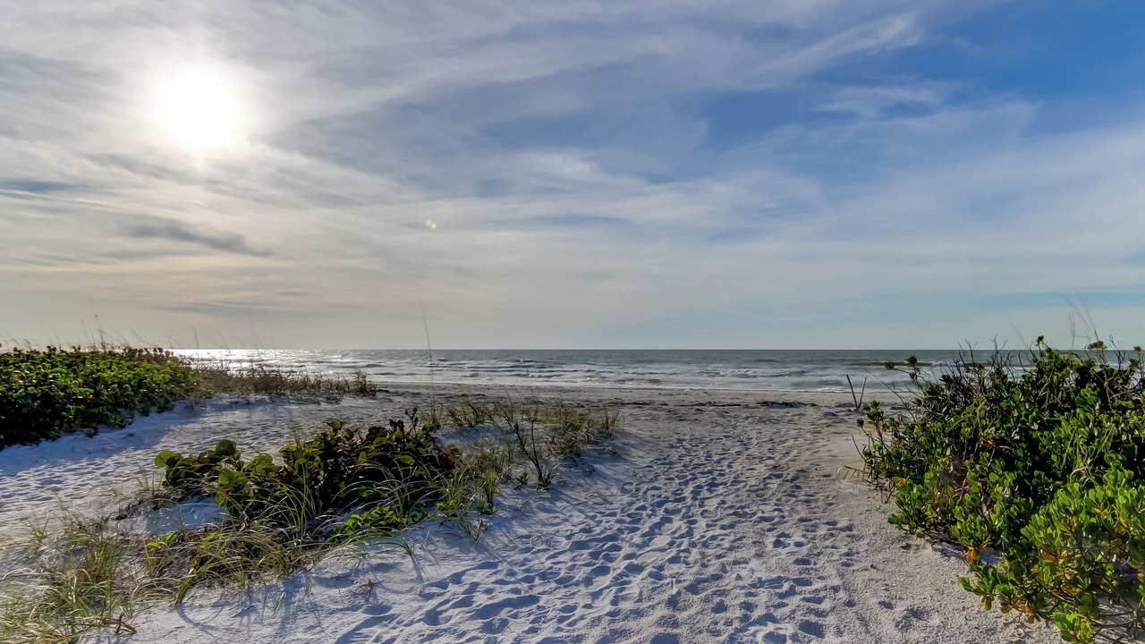 Photo of Others in Sand Key