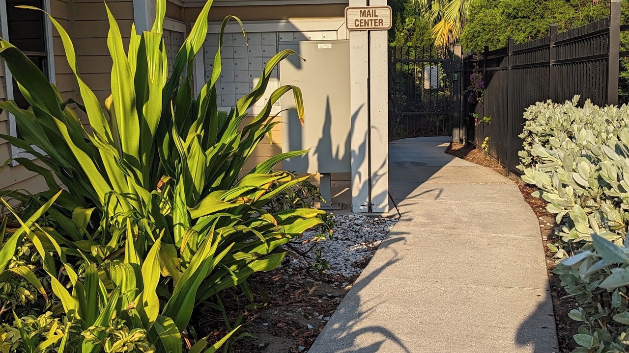 Photo of Outdoor in Merritt Island