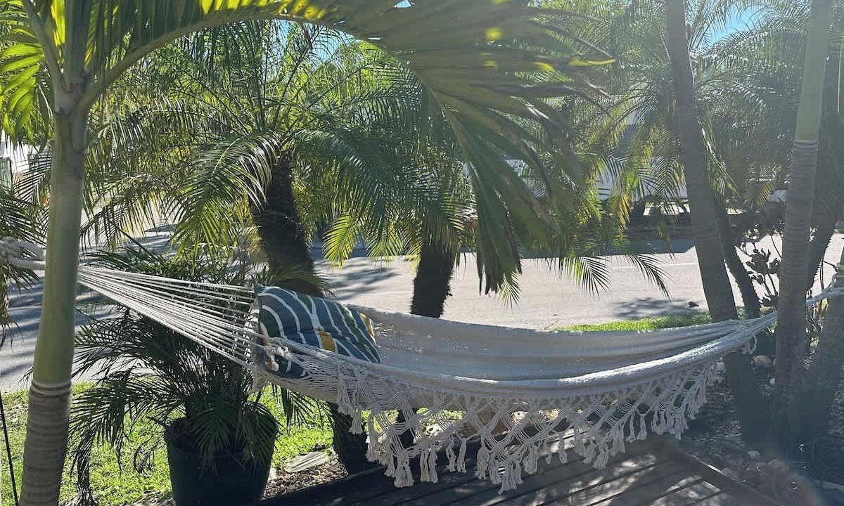 Photo of Outdoor in Palm Harbor