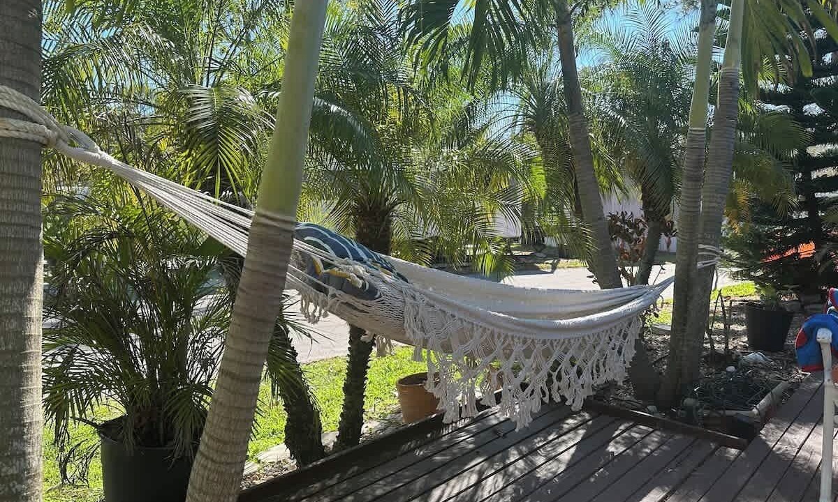 Photo of Outdoor in Palm Harbor