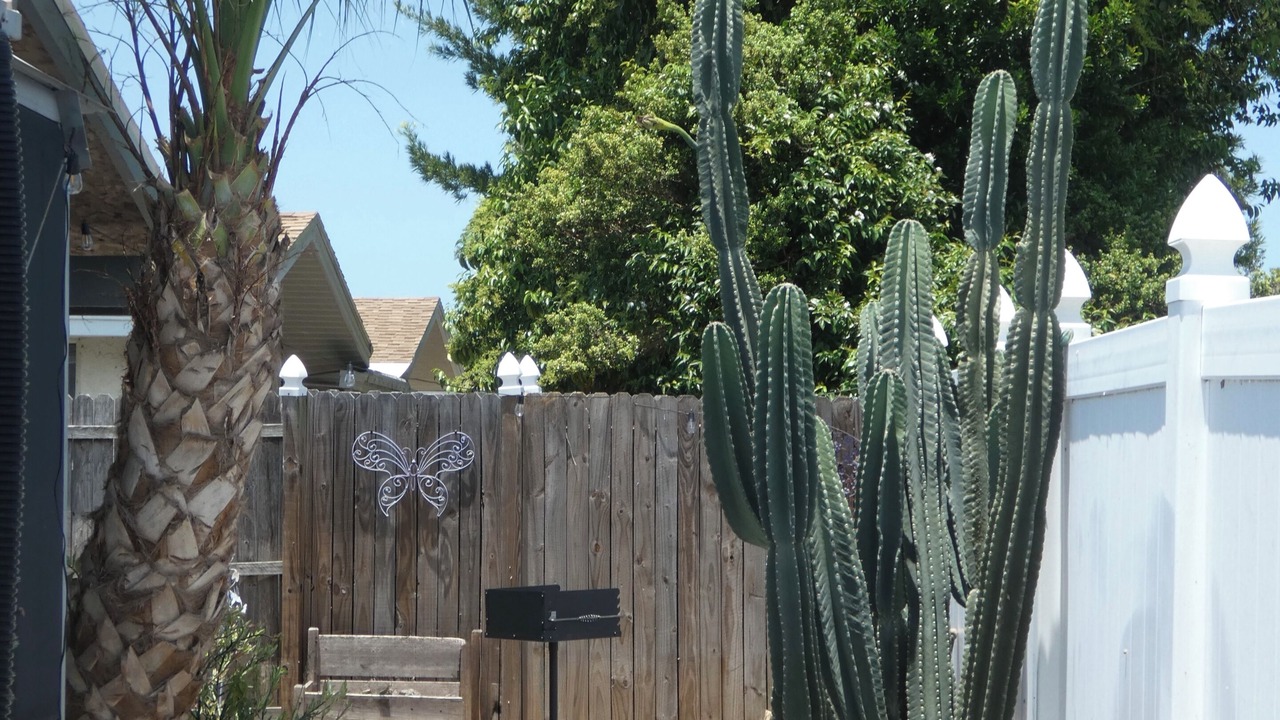 Photo of Outdoor in Regency Park