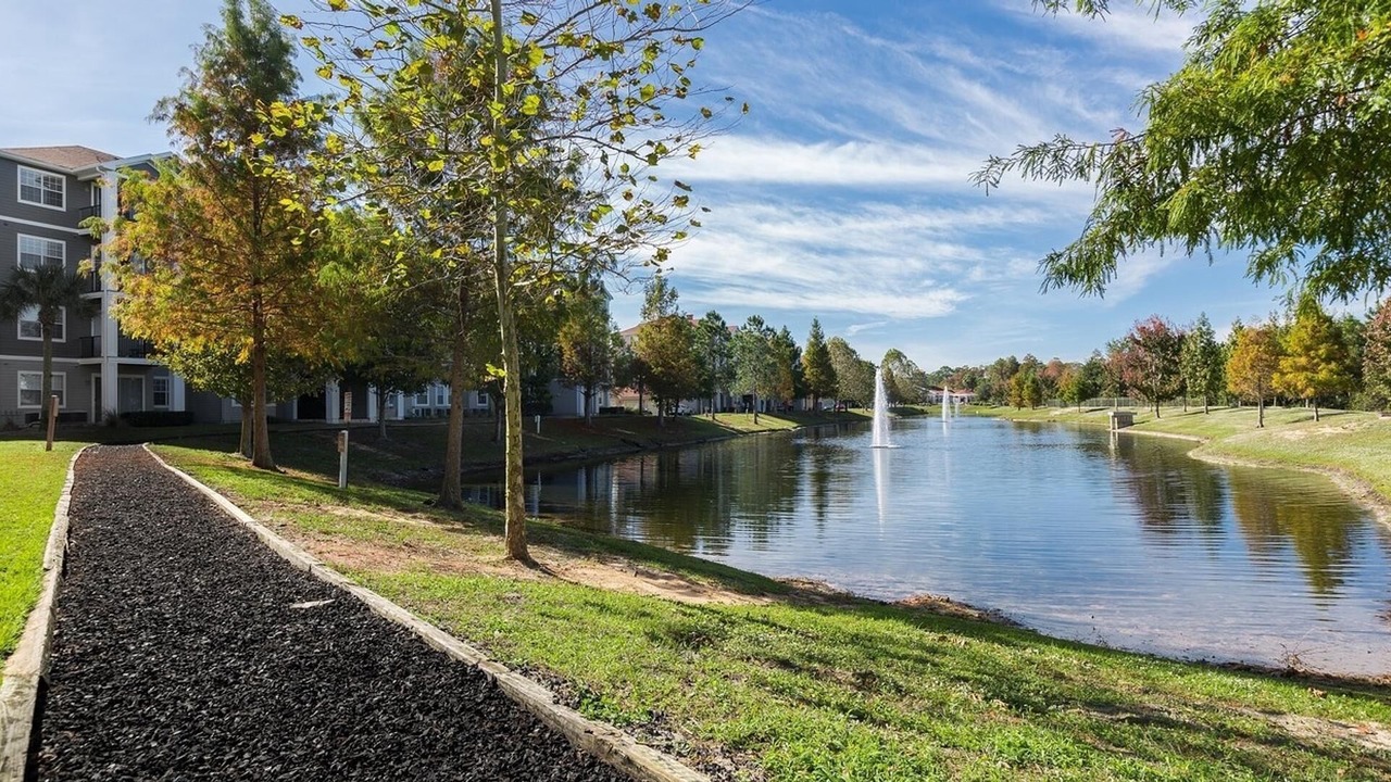 Photo of Outdoor in West Kissimmee