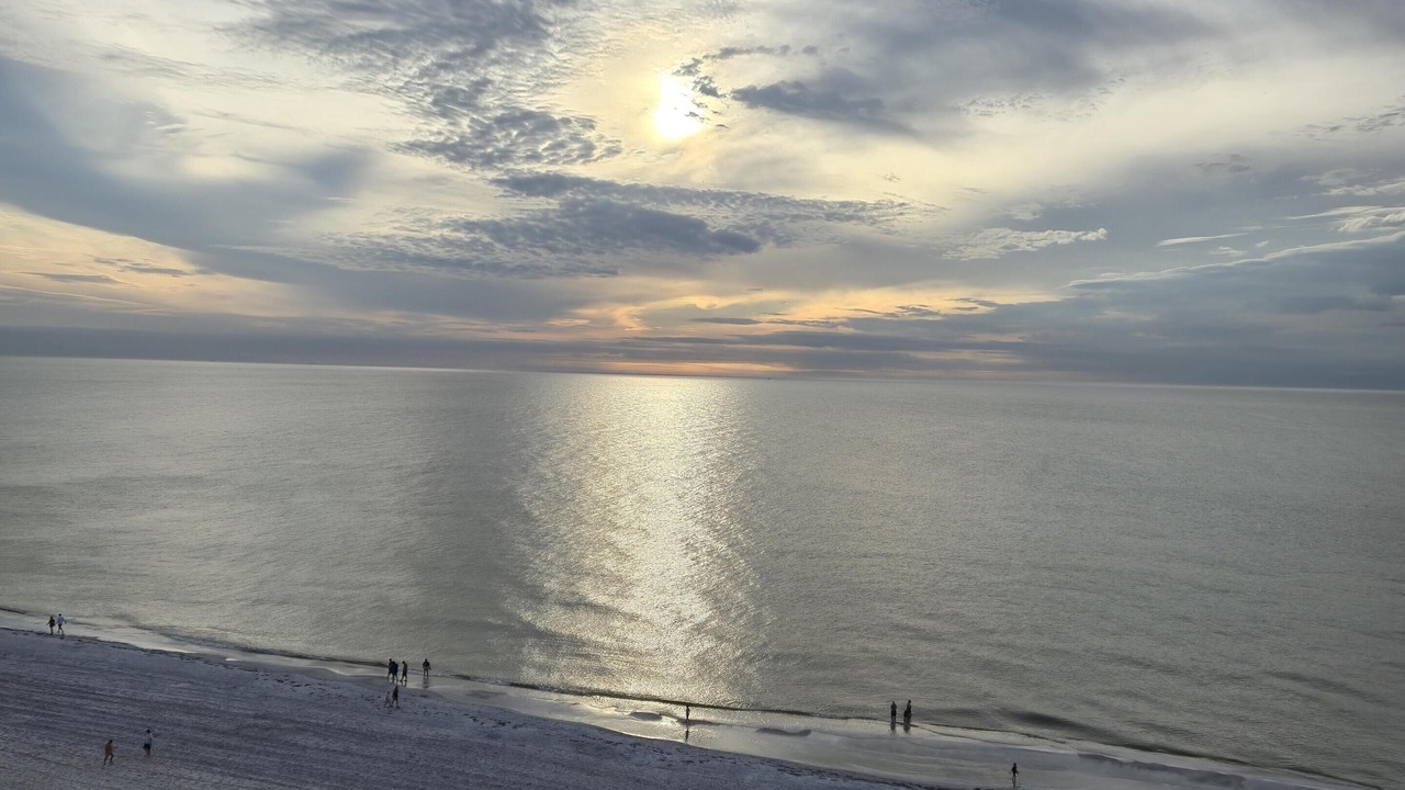 Photo of Others in Indian Shores