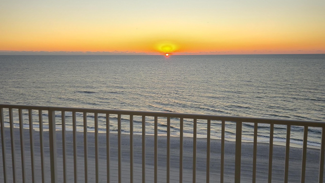 Photo of Others in Indian Shores
